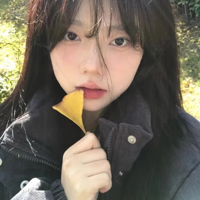 霹雳修女