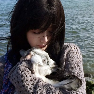 低智商犯罪